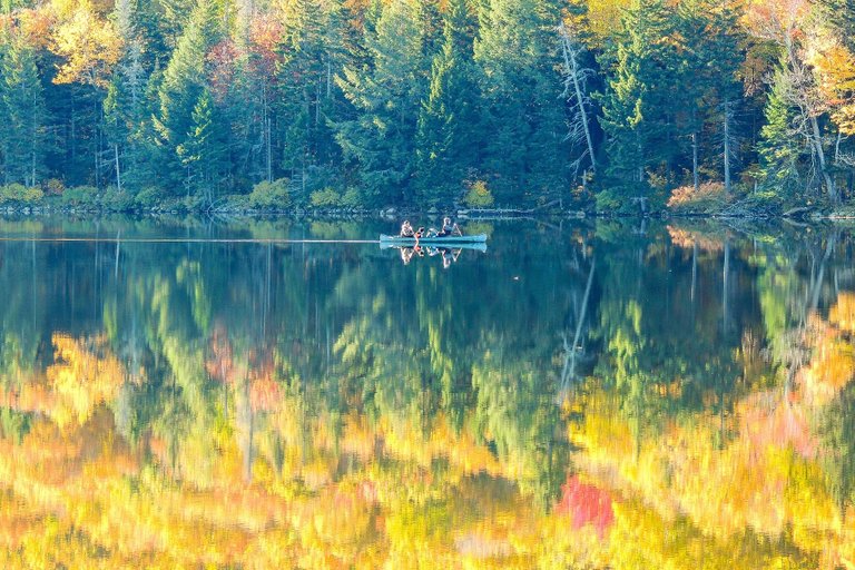 fall-foliage-2996314_1920.jpg
