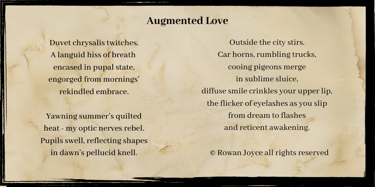 Augmented Love_text.png