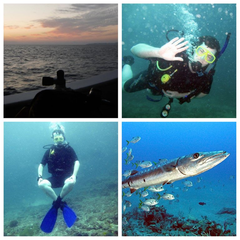 Scuba Raj808 collage.jpg