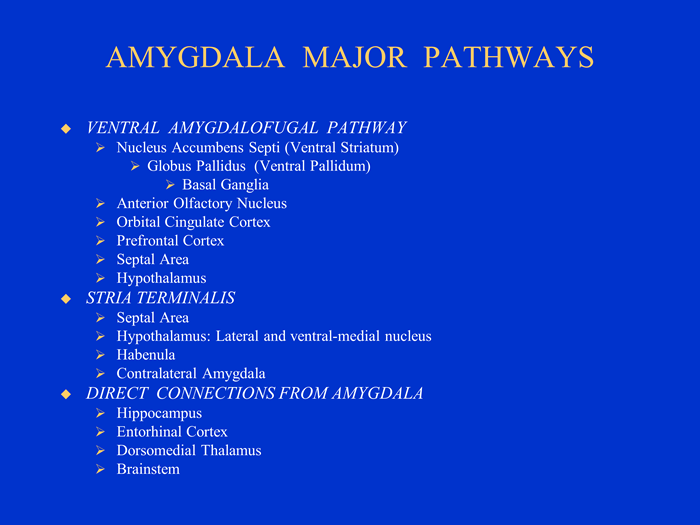 table_amygdala_pathways.png