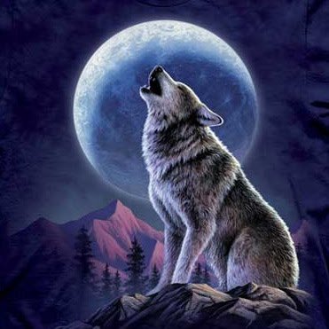 howl.jpg