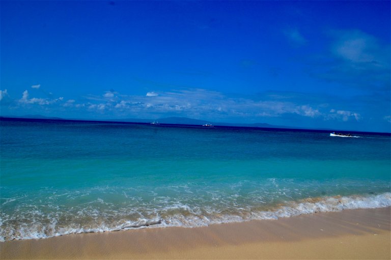 DSC_5957.JPG