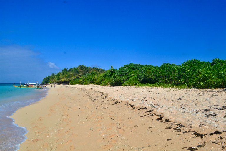 DSC_5959.JPG