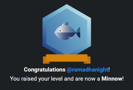 Minnow Badge.jpg