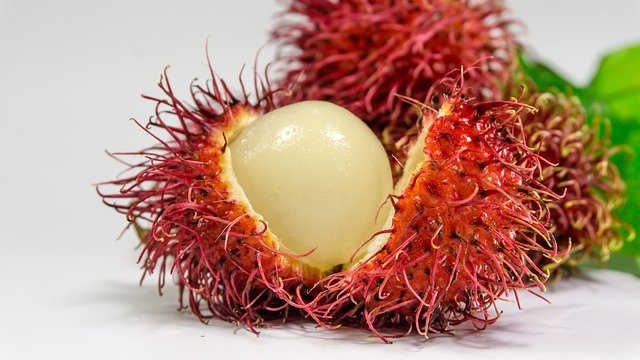 rambutan-gc6838f609_640.jpg
