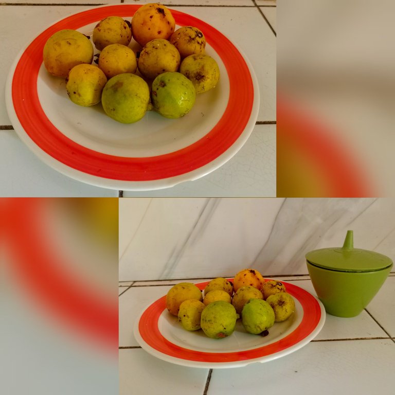1000061409.jpg