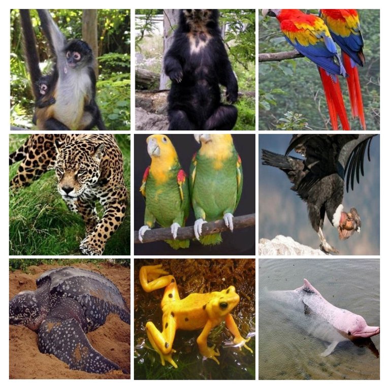 20210202_154716COLLAGE.jpg