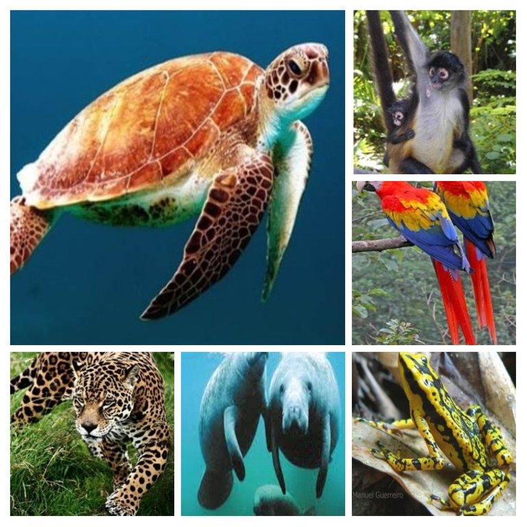 20210202_154421COLLAGE.jpg