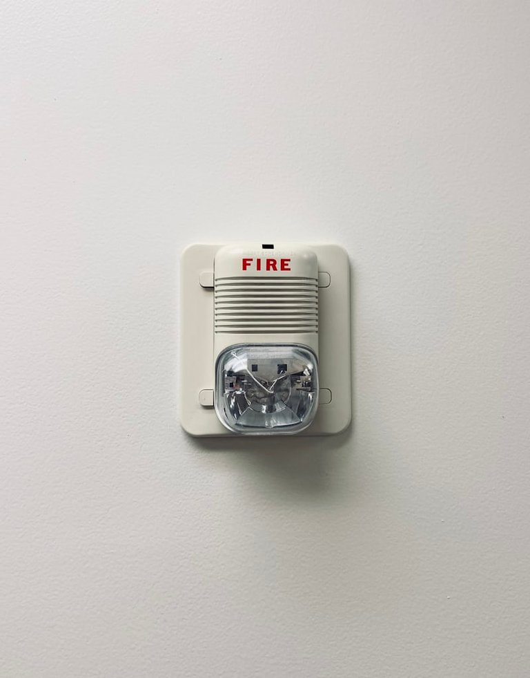 1000595042.jpg