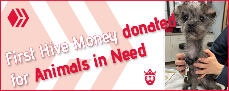 Non animated Header Donations.png