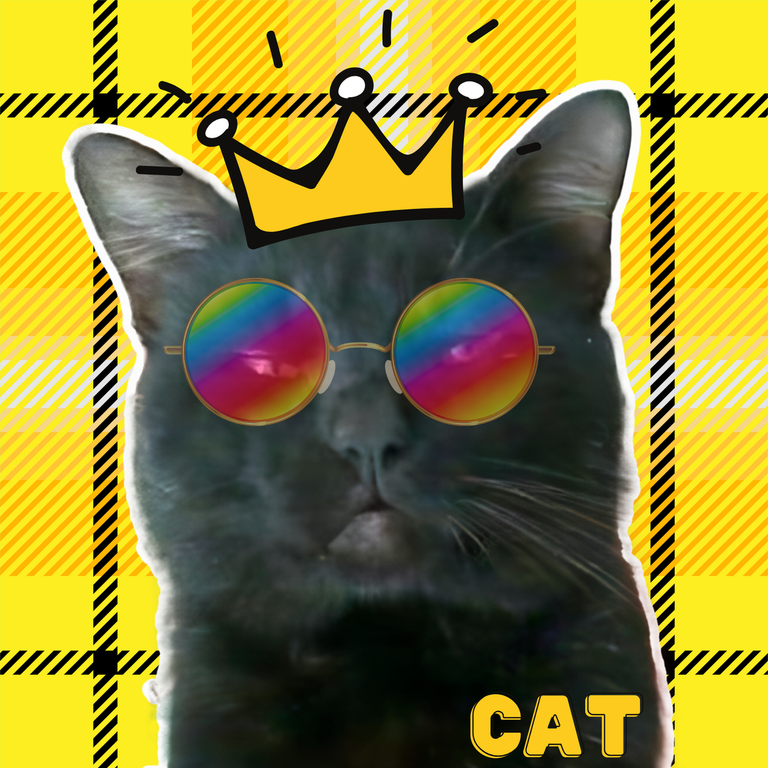 eve 66 3.png