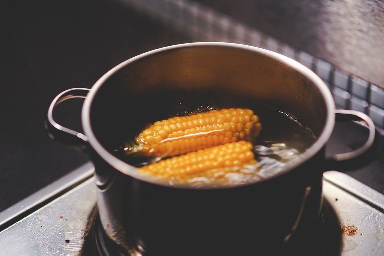 cooking-gcf7ad5c64_1280.jpg