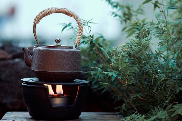 teapot-g0a63d0dd0_1280.jpg