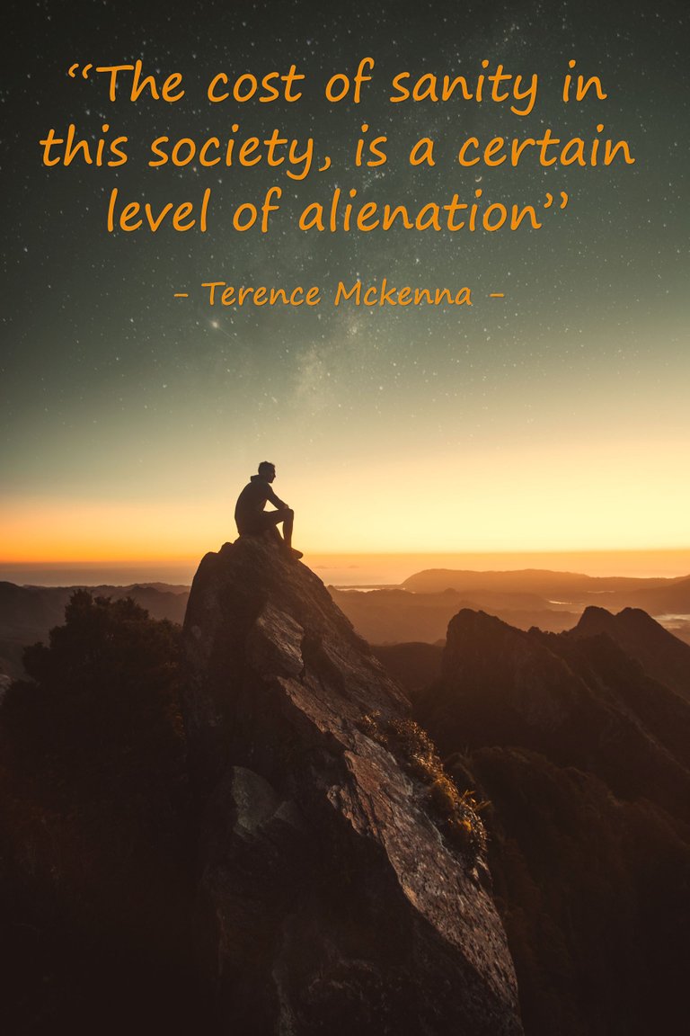 Terence Mckenna alienation.png