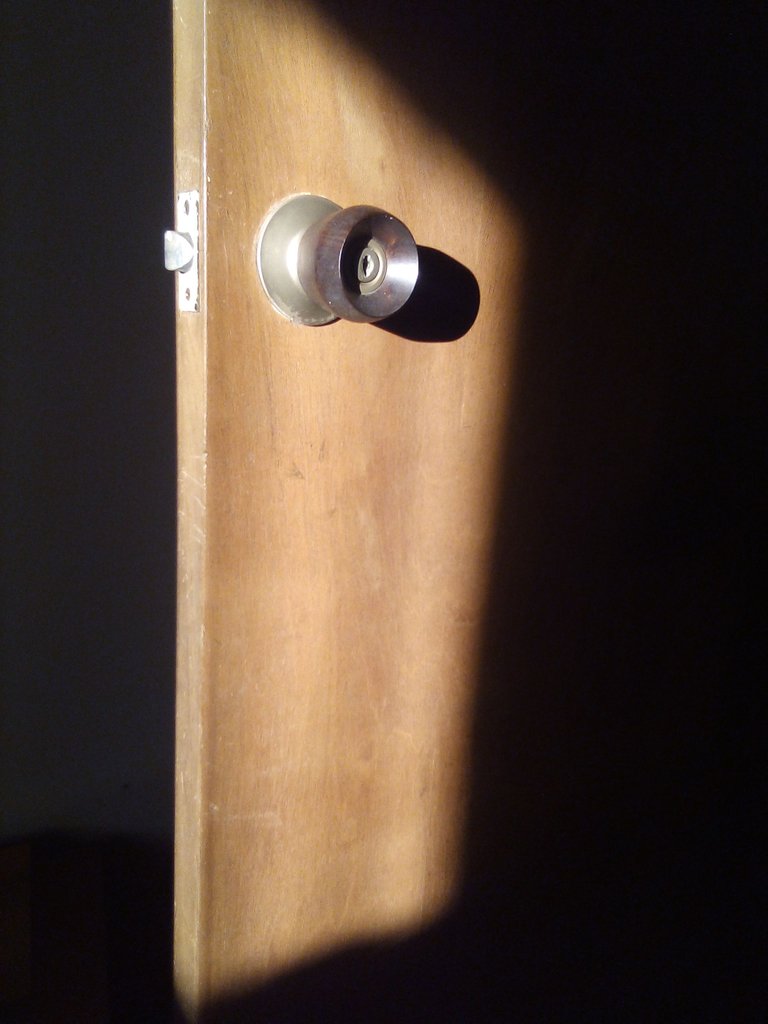 fotos sombra (1).jpg