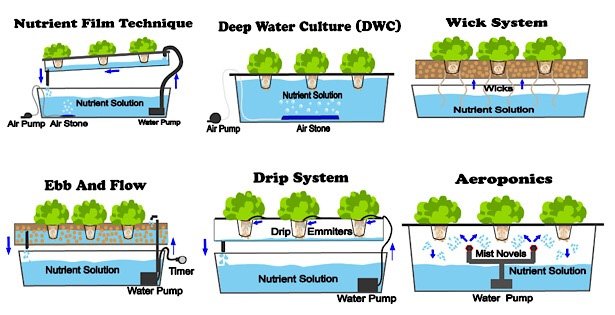 hydroponics6types.jpg