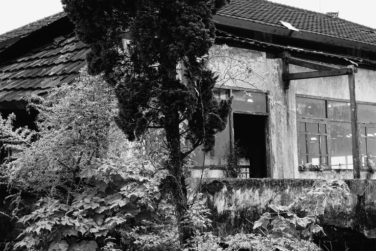 side-view1.jpg