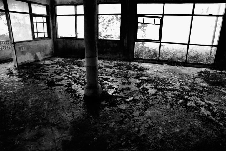 indoor3.jpg