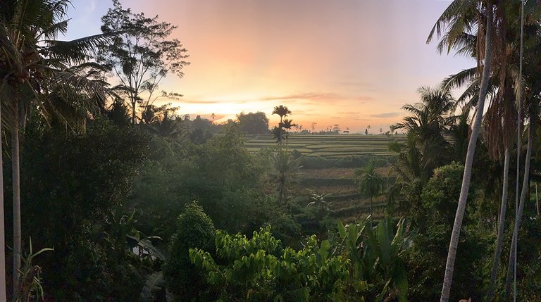 Bali-Collection-Sunrise-Ubud-min.jpg