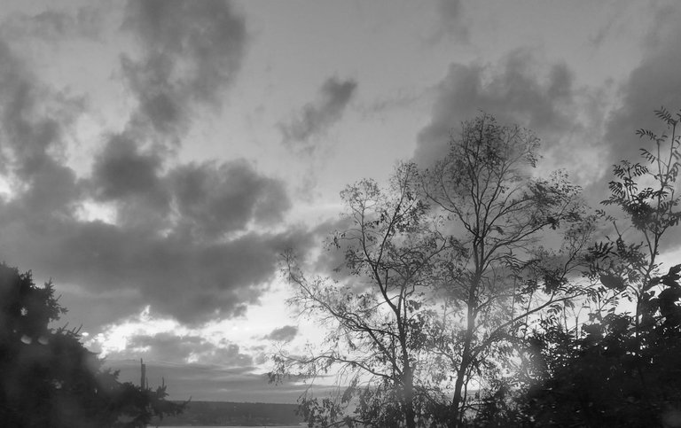 20250630_014213.jpg