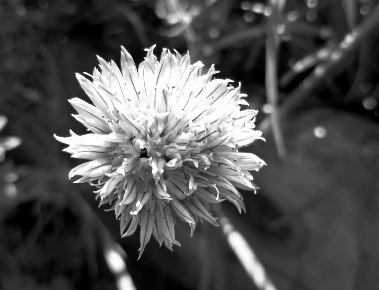 20250630_010832.jpg