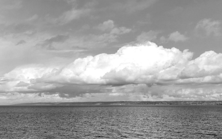 20250630_011737.jpg