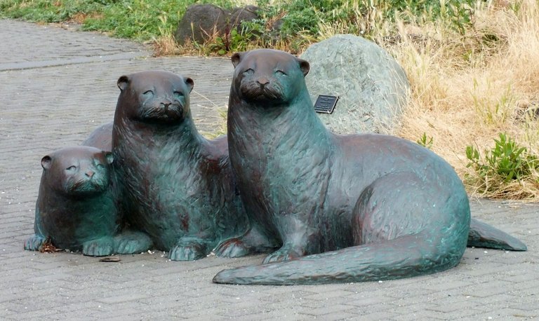 RD0138-Otters.jpg