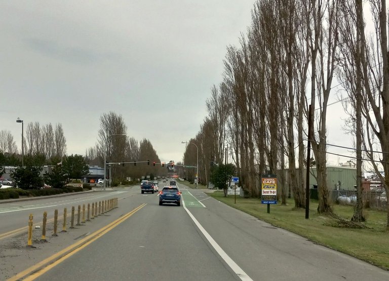 RD0088-Poplars2.jpg