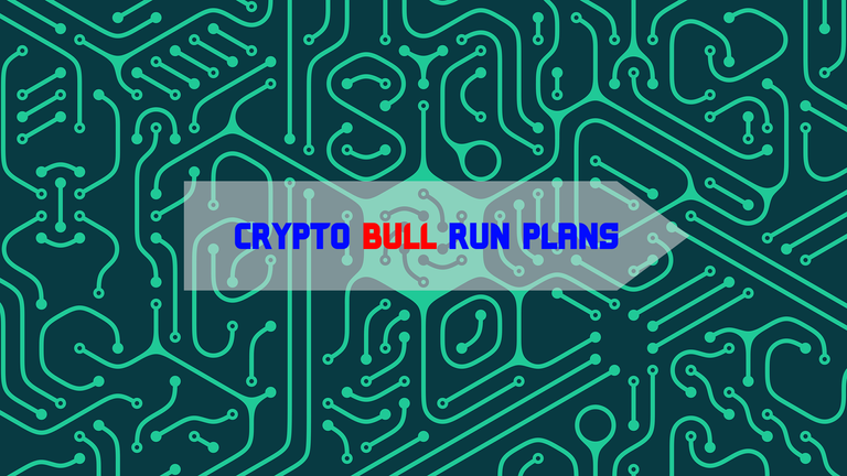 CRYPTO BULL RUN PLANS.png