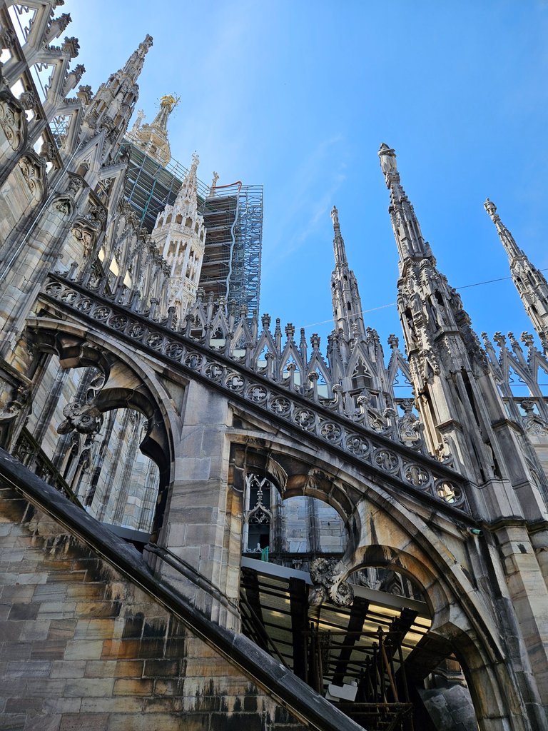 20250512_134738.jpg