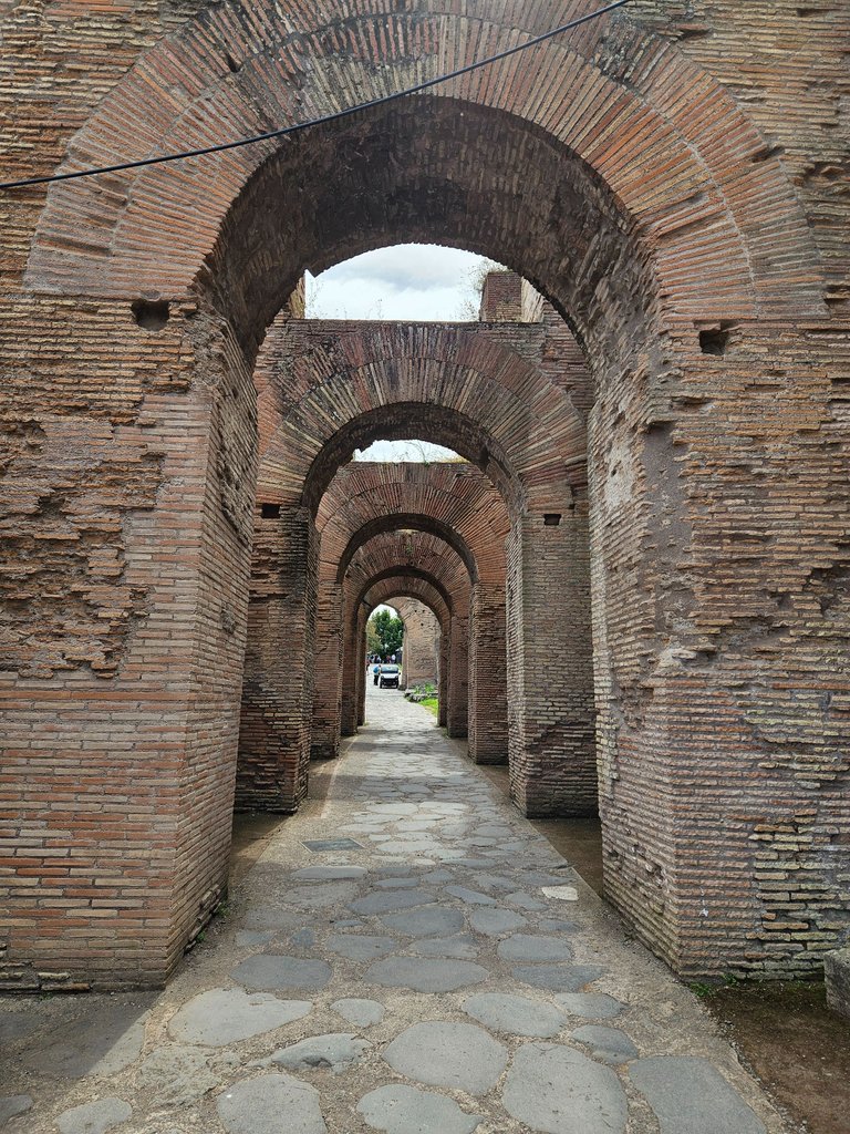 20250509_105548.jpg