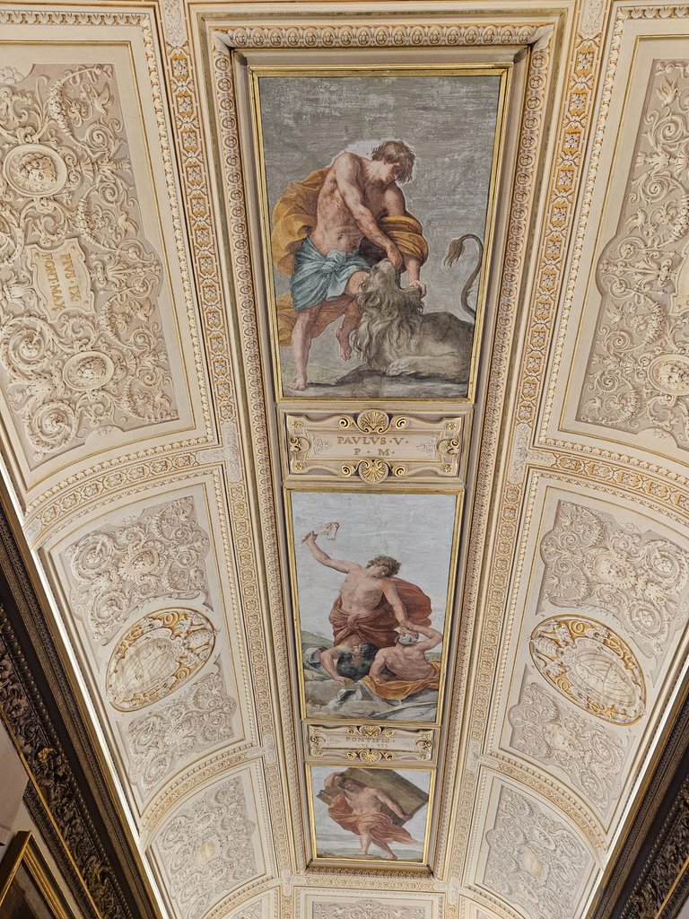 20250510_100807.jpg