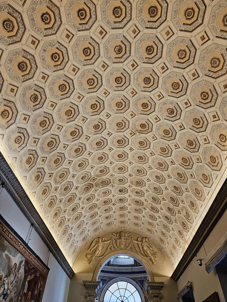 20250510_095050.jpg
