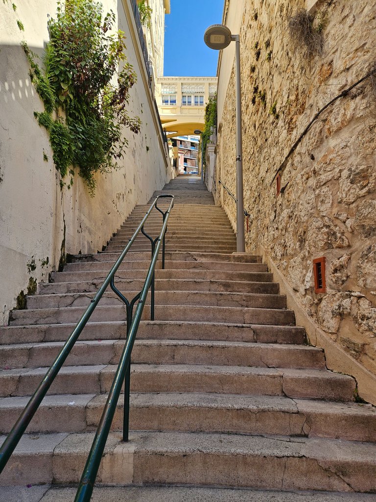20250507_101610.jpg