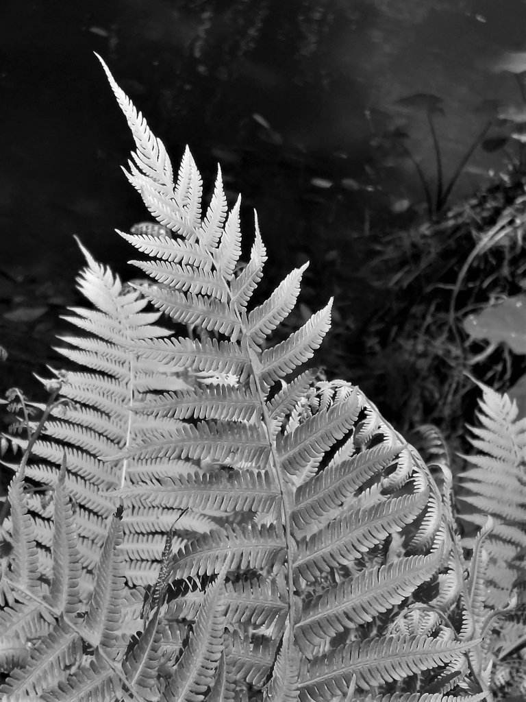 20220819_125000.jpg