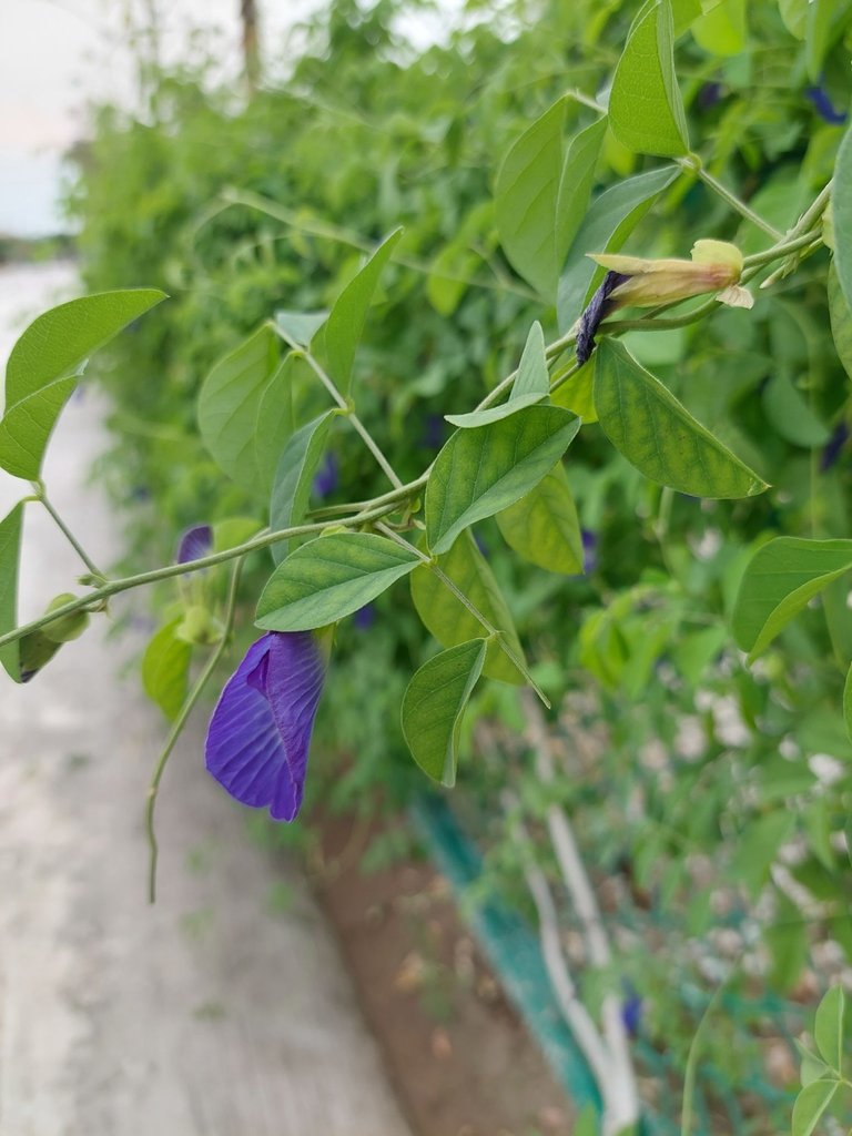 20220818_172043.jpg