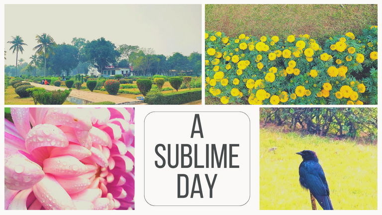 Beige and Green Neutral Motivation Photo Collage Facebook Cover.png
