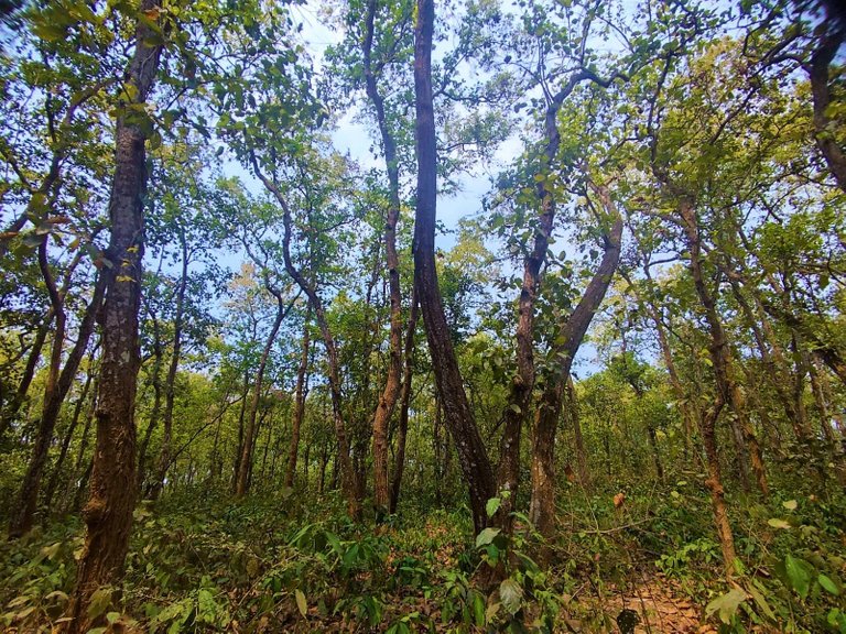 WhatsApp Image 2023-08-01 at 11.38.48 PM.jpeg