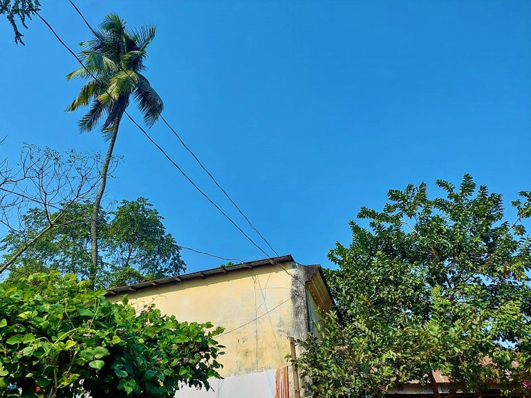 WhatsApp Image 2023-03-20 at 9.19.12 AM (1).jpeg