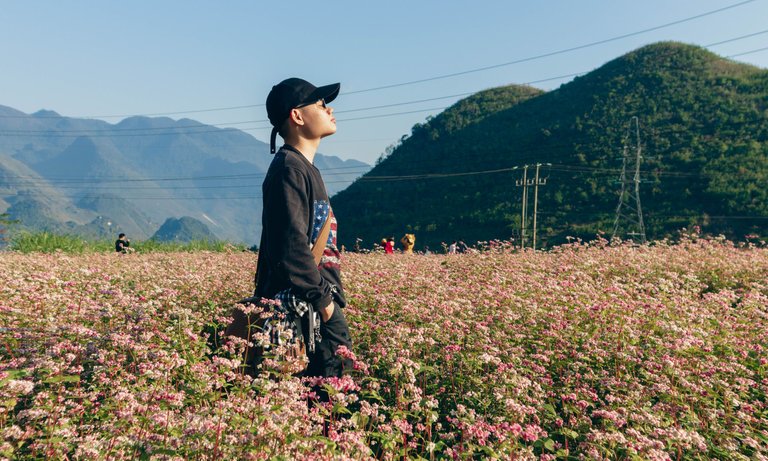 Rem's at a buckwheat flower field in Quan Ba town
