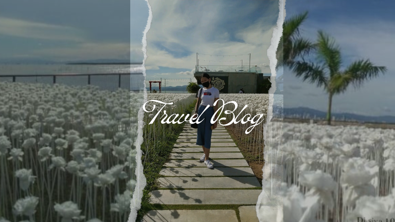 Green White Minimalistic Simple Collage  Daily Vlog YouTube Thumbnail_20241207_011053_0000.png