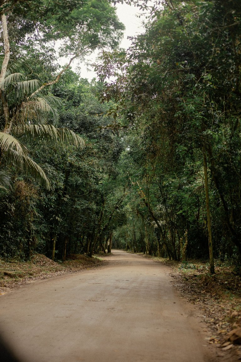 Férias Ubatuba-71.jpg