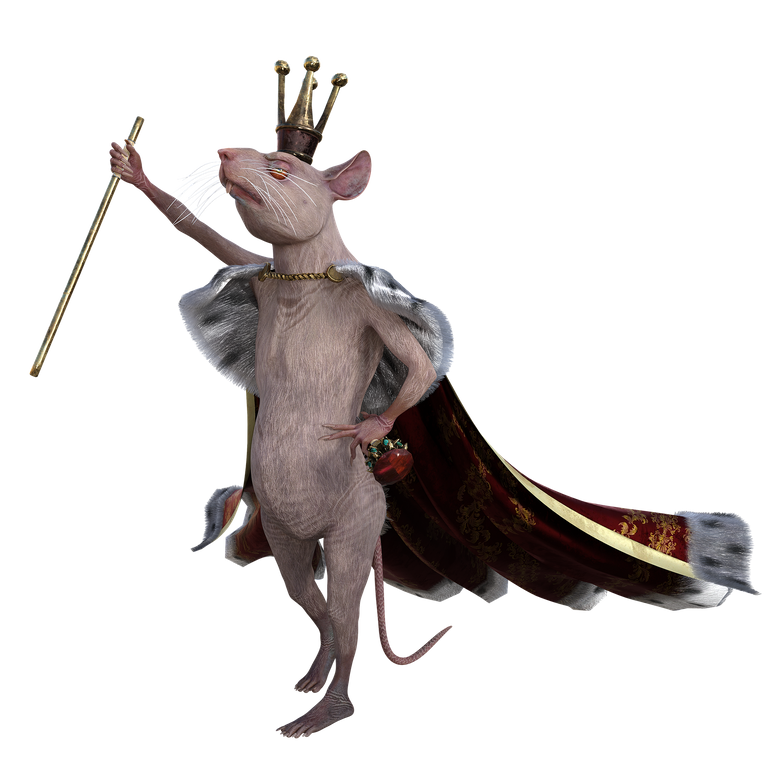 mouse-6865854_1920.png