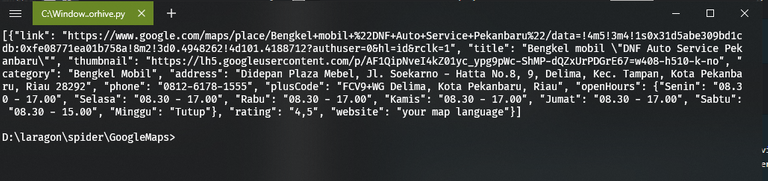 google maps scrapper python hive.png