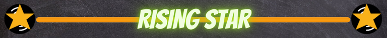 RISING STAR BANNER.png