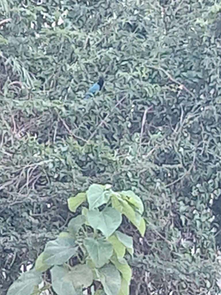 20231114_103023.jpg