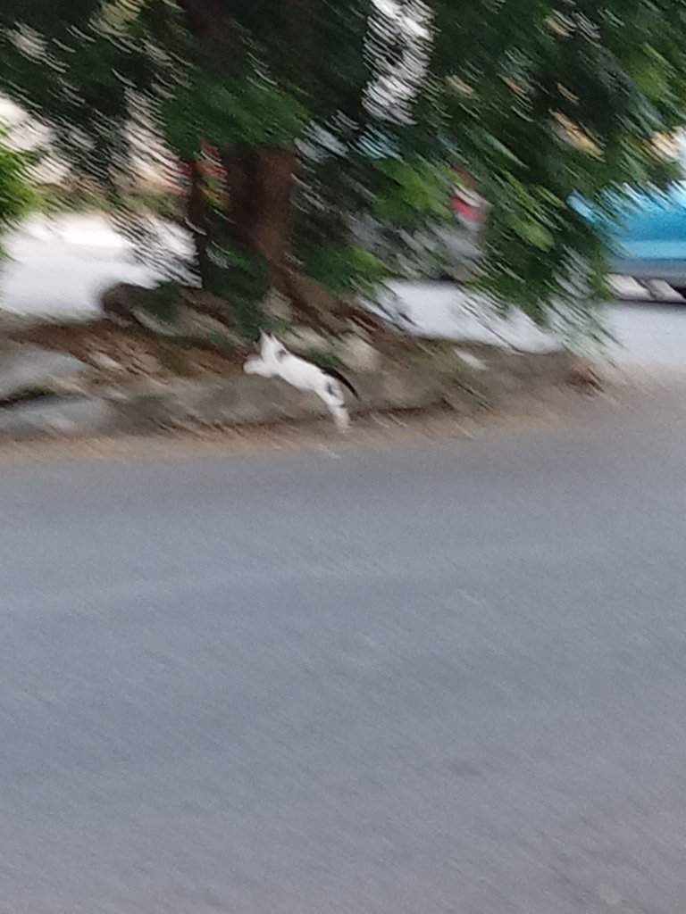 20230911_064545.jpg