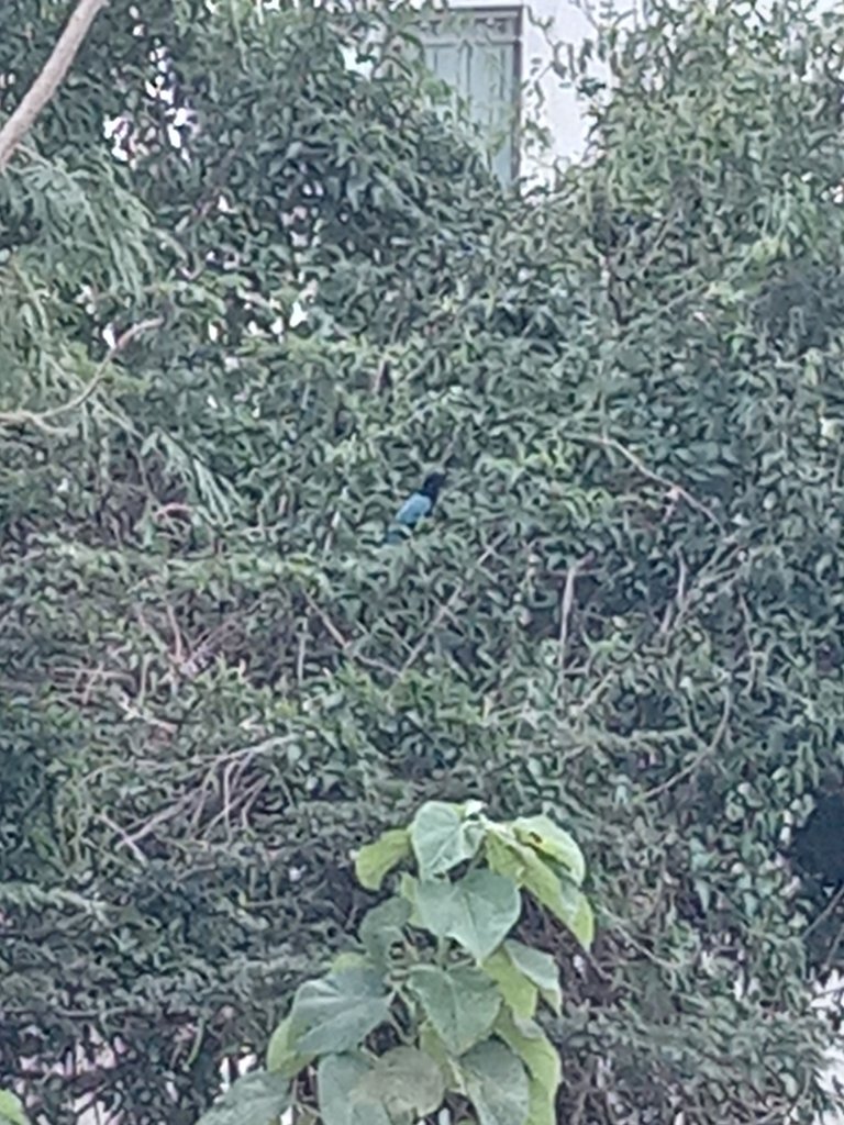20231114_103016.jpg