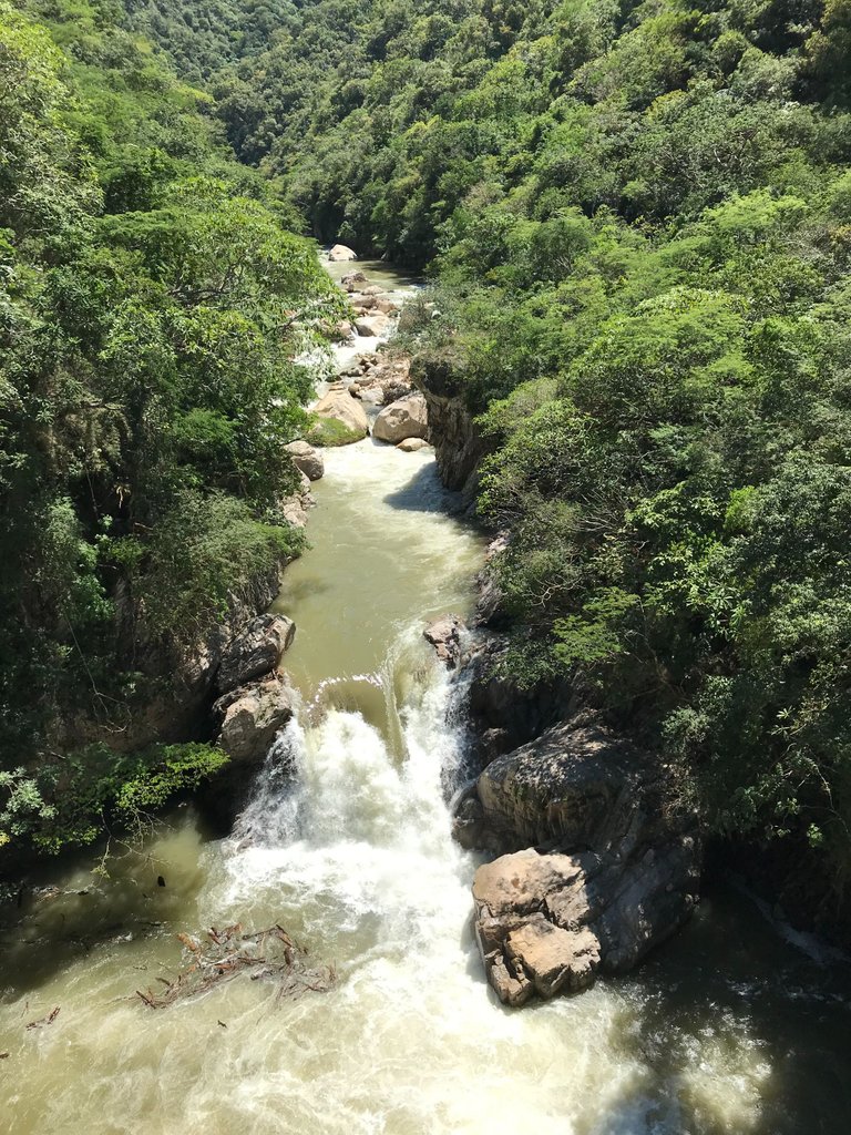 the cuale river .jpeg