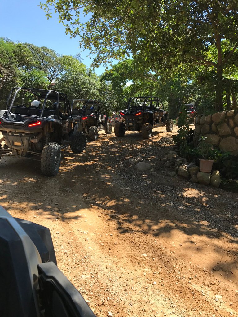 jorullo bride car line up .jpeg